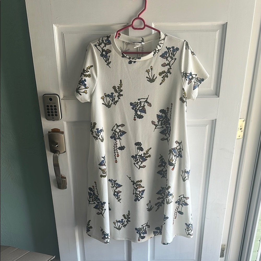 Honey and Lace Floral Mini Dress - White and Blue